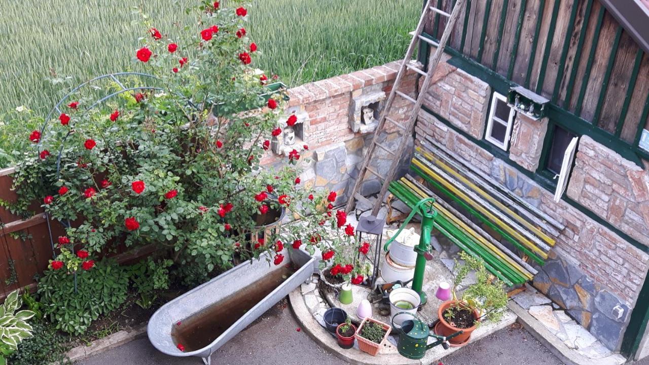 Gaestezimmer Victoria Linsberg 외부 사진